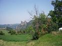 RUNEDA 2010 (15)